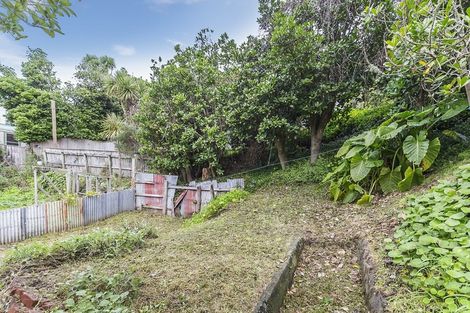 Photo of property in 207 Aro Street, Aro Valley, Wellington, 6021