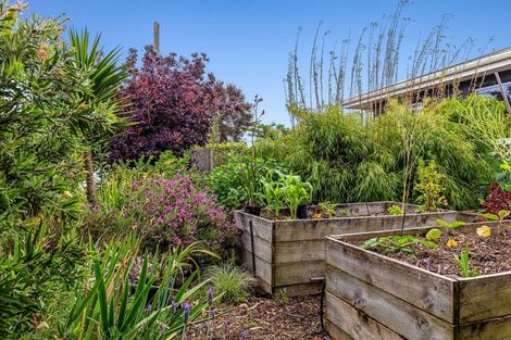 Photo of property in 77 Parker Street, Motueka, 7120