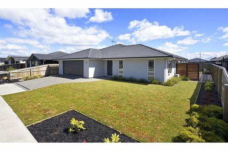 Photo of property in 22 Chertsey Street, Richmond, 7020