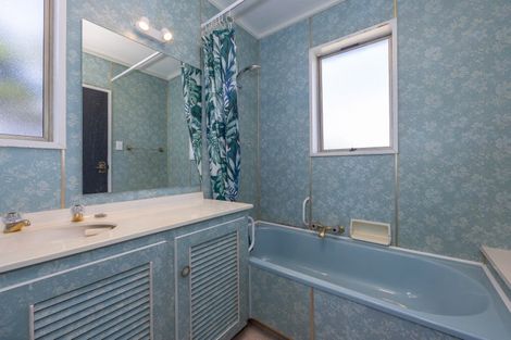 Photo of property in 45 Newcastle Road, Hawea Flat, Lake Hawea, 9382