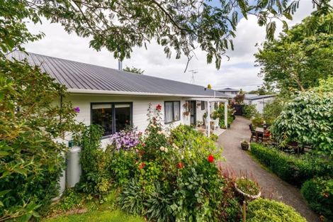 Photo of property in 101 Lincoln Street, Ashhurst, 4810