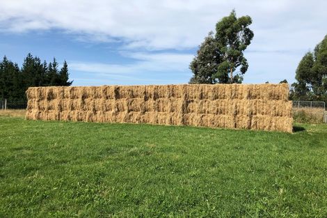 Photo of property in 830 Oxford Road, Fernside, Rangiora, 7471