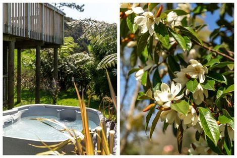 Photo of property in 46 Princes Street, Waikino, Waihi, 3682