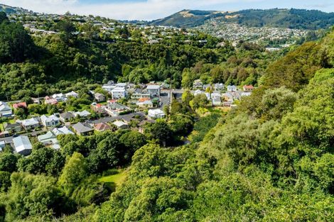 Photo of property in 40 Braeview Crescent, Maori Hill, Dunedin, 9010