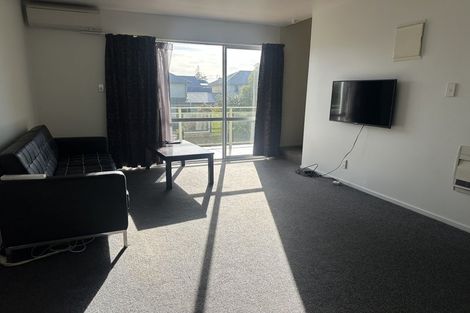 Photo of property in 101 Elizabeth Street, Riccarton, Christchurch, 8041