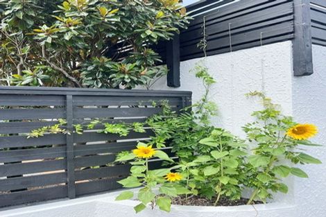 Photo of property in 191a Wilton Road, Wilton, Wellington, 6012