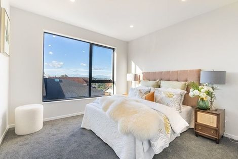 Photo of property in 245 Campbell Road, Greenlane, Auckland, 1061