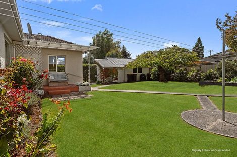 Photo of property in 5 Park Street, Gore, 9710