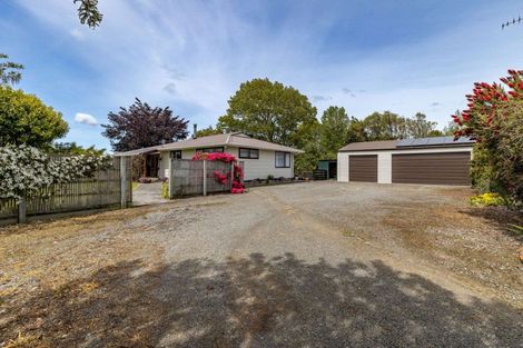 Photo of property in 487 Wellington Road, Marton, 4710