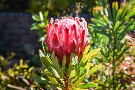 Photo of property in 53 Stephen Street, Halfway Bush, Dunedin, 9010