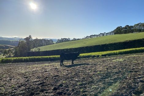 Photo of property in 420 Dunrobin Road, Fuchsia Creek, Oamaru, 9491