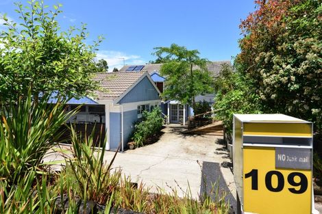 Photo of property in 109 Ellicott Road, Nawton, Hamilton, 3200