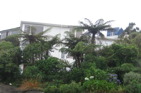 Photo of property in 53 Bedford Street, Northland, Wellington, 6012