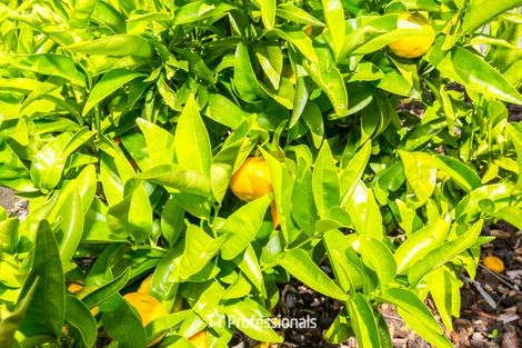 Photo of property in 5 Venetia Way, Totara Park, Upper Hutt, 5018