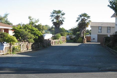 Photo of property in 22 Flatman Crescent, Geraldine, 7930