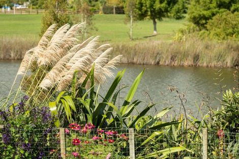 Photo of property in 39 Scoria Close, Pyes Pa, Tauranga, 3112