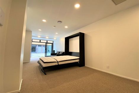 Photo of property in Aniva Terrace, 21 Arney Street, Newtown, Wellington, 6021