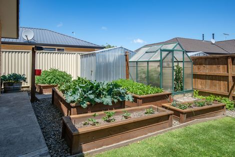 Photo of property in 13 Watt Street, Mosgiel, 9024