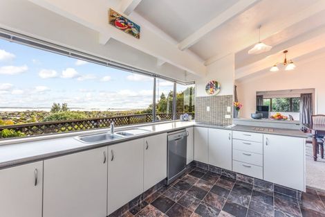 Photo of property in 16 Barrington Place, Richmond, 7020