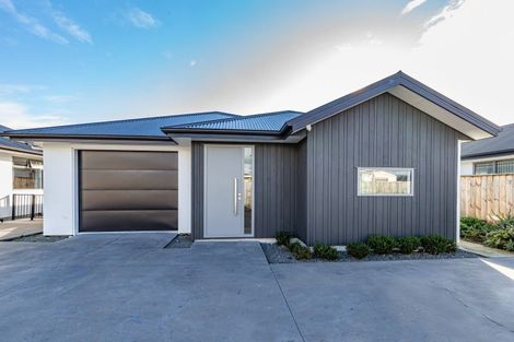Photo of property in 19a Trafalgar Street, Levin, 5510