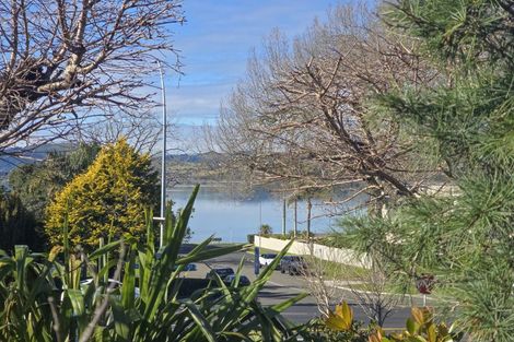 Photo of property in 2/19 Sixth Avenue, Tauranga, 3110
