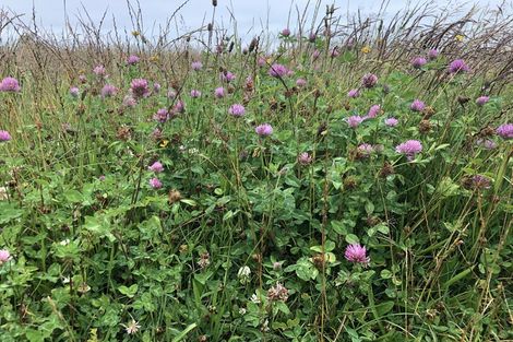 Photo of property in 830 Oxford Road, Fernside, Rangiora, 7471