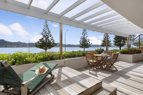 Photo of property in 1/328 Oriental Parade, Oriental Bay, Wellington, 6011