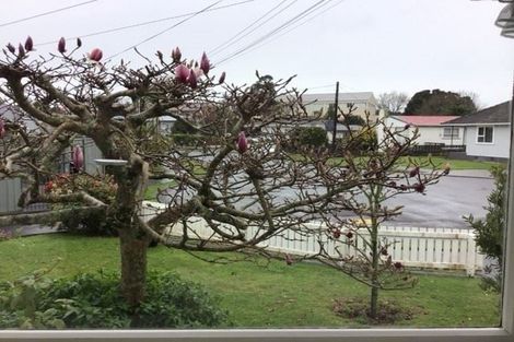 Photo of property in 36 Trafalgar Street, Westown, New Plymouth, 4310