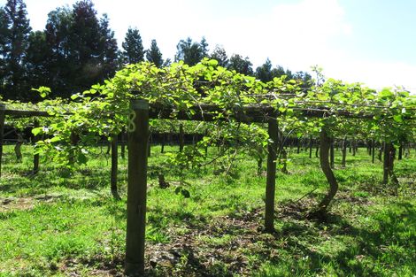 Photo of property in 2 Tanekaha Drive, Parahaki, Whangarei, 0112