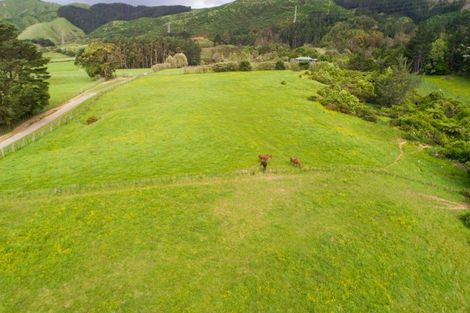 Photo of property in 431 Scotts Road, Linton, Palmerston North, 4472