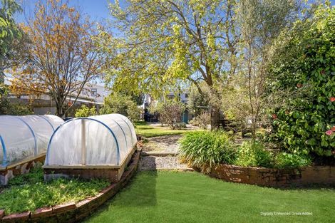 Photo of property in 28 Trewavas Street, Motueka, 7120