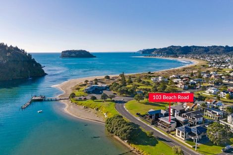 Photo of property in 103 Beach Road, Whangamata, 3620