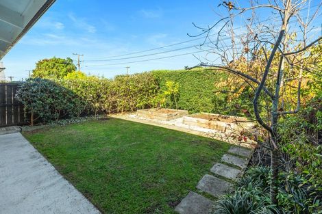 Photo of property in 13a Leander Street, Mount Maunganui, 3116