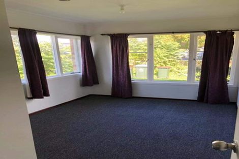 Photo of property in 18 Panama Road, Mount Wellington, Auckland, 1062