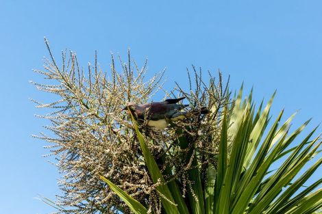 Photo of property in 3 Spylaw Street, Maori Hill, Dunedin, 9010