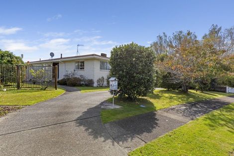 Photo of property in 205 Tiro Tiro Road, Levin, 5510