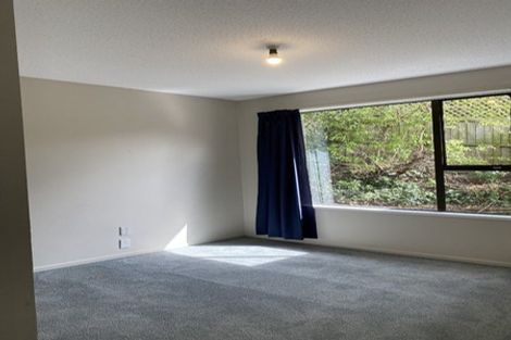 Photo of property in 38 Penruddock Rise, Westmorland, Christchurch, 8025