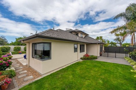 Photo of property in 31a Avenue Road, Greenmeadows, Napier, 4112