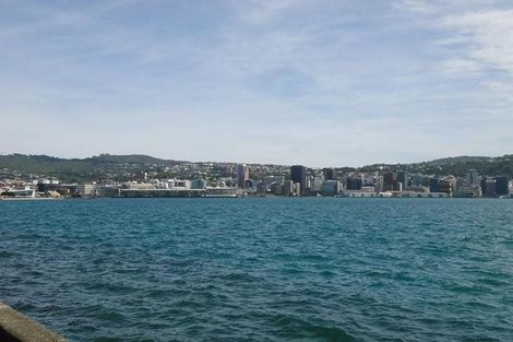 Photo of property in The Capital, 3/370 Oriental Parade, Oriental Bay, Wellington, 6011