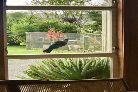 Photo of property in 96 Milliken Road, Richmond Downs, Morrinsville, 3371