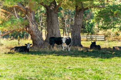 Photo of property in 417c Grays Road, Pauatahanui, Porirua, 5381