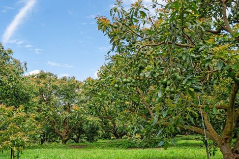 Photo of property in 39 Hot Springs Road, Tahawai, Katikati, 3178