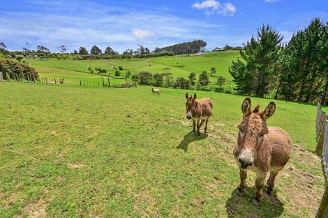 Photo of property in 1568 Old North Road, Helensville, 0875