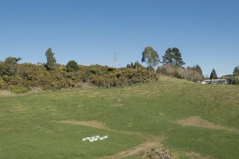 Photo of property in 882c Whakamarama Road, Whakamarama, 3179