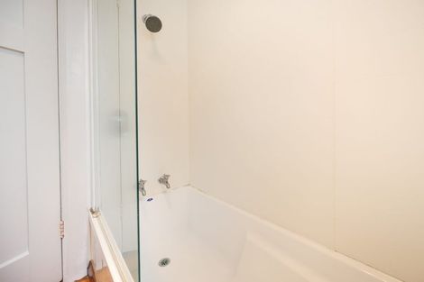 Photo of property in 95a Limbrick Street, Terrace End, Palmerston North, 4410