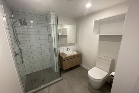 Photo of property in Pinnacle Apartments, W303/160 Victoria Street, Te Aro, Wellington, 6011