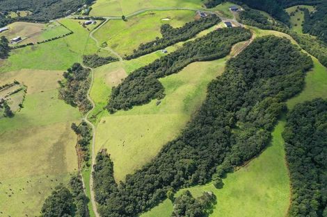 Photo of property in 18 Kanuka Lane, Waipu, 0582