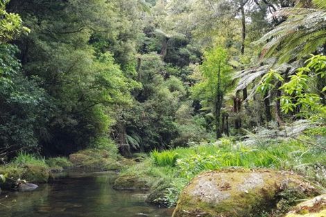 Photo of property in 137 Ross Road, Whakamarama, Tauranga, 3179