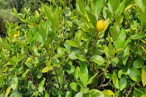 Photo of property in 58 Kamahi Street, Stokes Valley, Lower Hutt, 5019