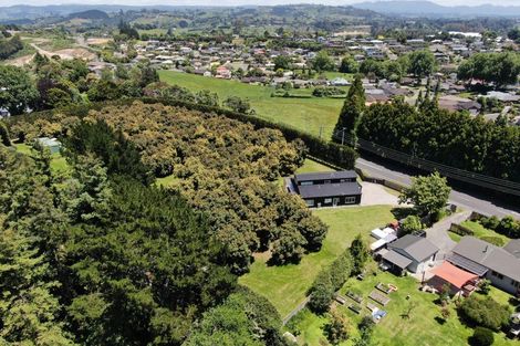 Photo of property in 284 Cambridge Road, Bethlehem, Tauranga, 3110